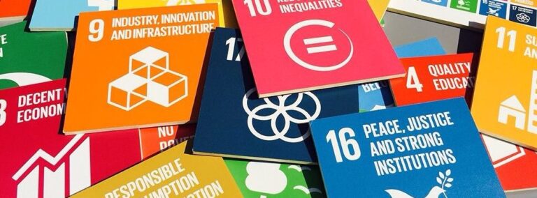 Why should we work with the SDGs? - SDG Sprint - The Umbrella Institute