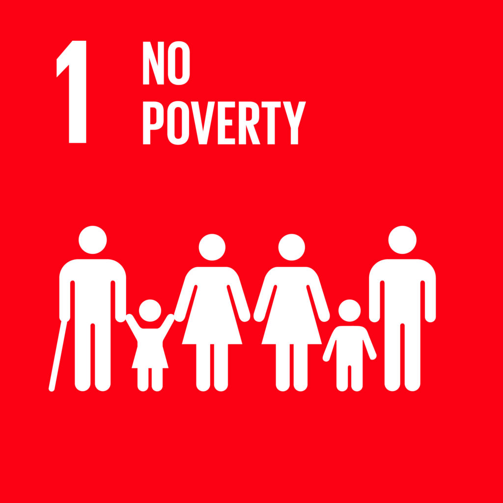 SDG 1 No Poverty