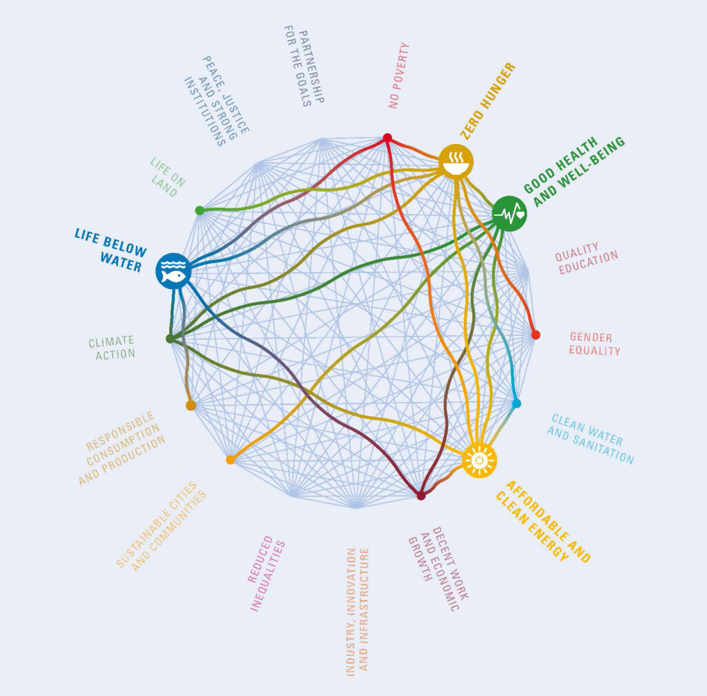 the interconnectedness of the SDGs