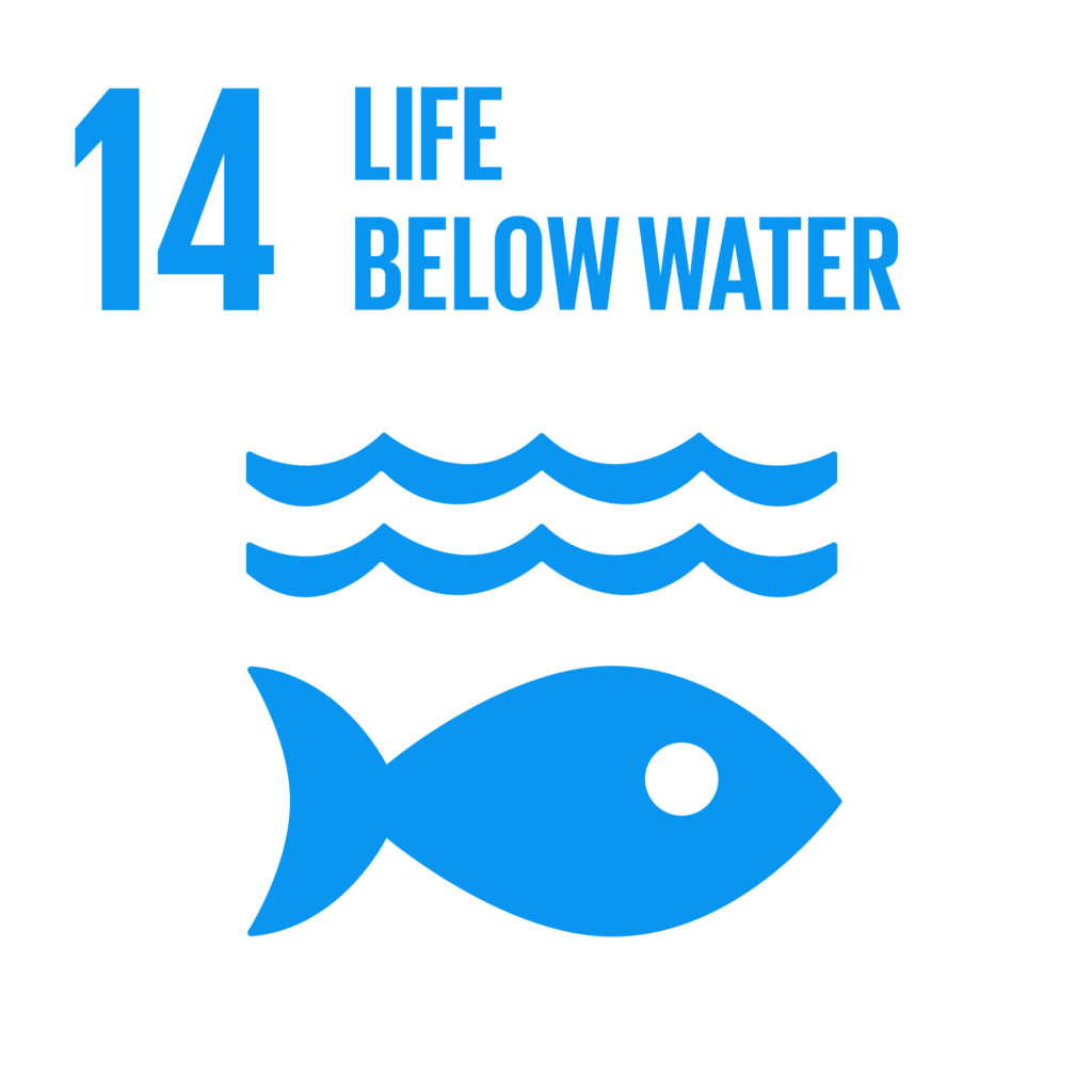 Life Below Water SDG 14 The Umbrella Institute
