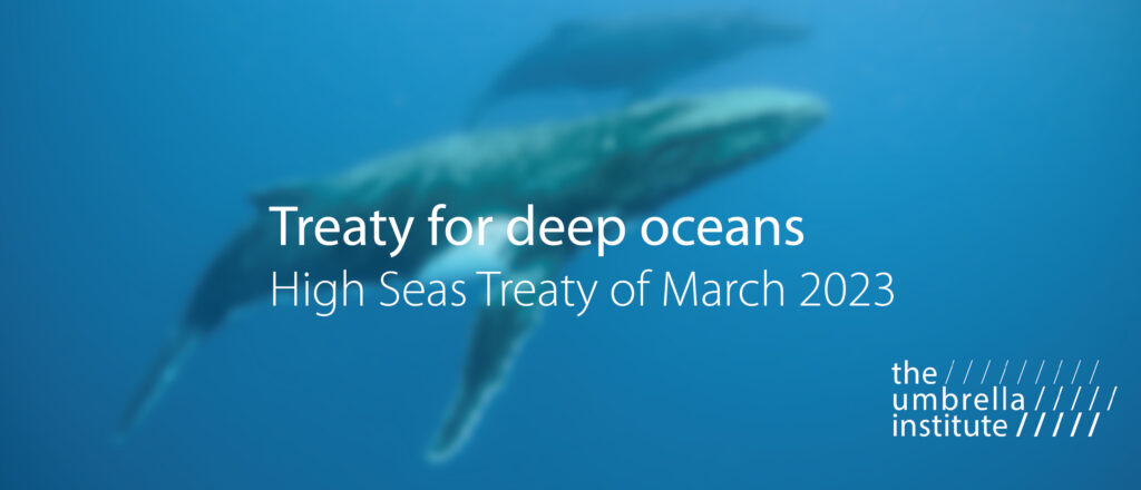 High Seas Treaty The Umbrella Institute March 2023