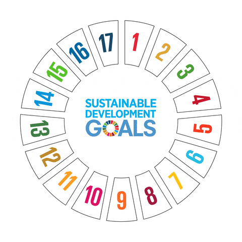 Sustainable Development goals realised by 2023